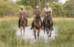 A typical day: okavango-delta-trio-trot