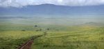 The-Highlands-Ngorongoro-in-bloom