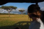 Day 5.: game-drive-masai-mara-13-1000×667